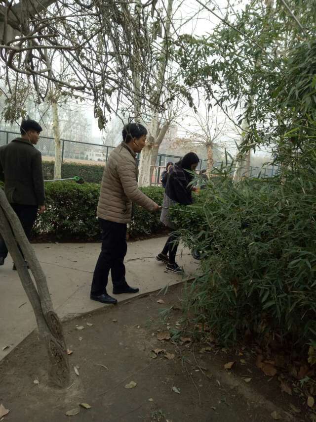 qm球盟会网站