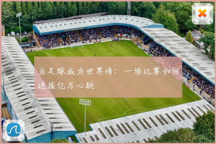 当足球成为世界语：一场比赛如何连接亿万心跳